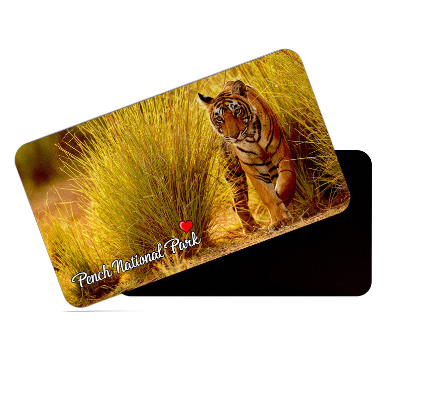 dhcrafts Rectangular Rubber Fridge Magnet / Magnetic Card Multicolor Pench National Park Kerala Design Pack of 1 (8.6cm x 5.4cm)